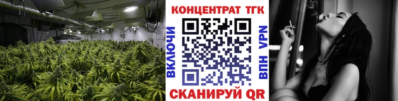 Купить где  Ладушкин  ТГК концентрат 